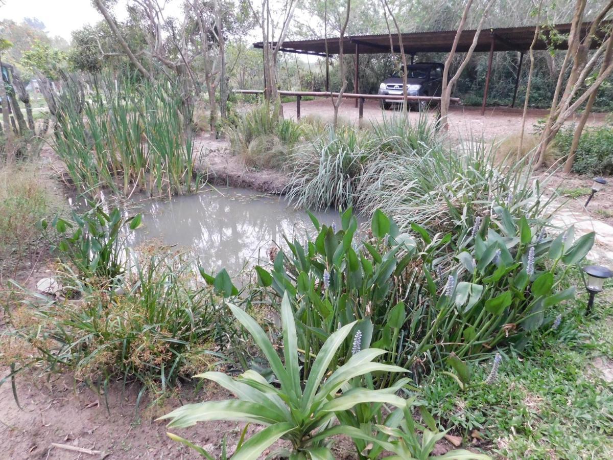 Arandu Ecolodge Colonia Carlos Pellegrini  Exterior foto